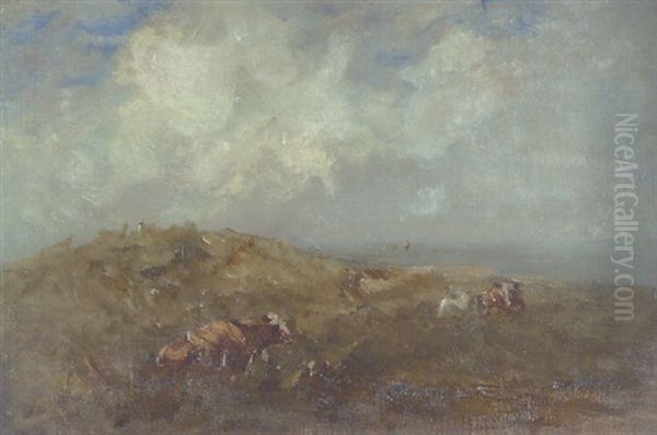 Cattle Resting, Malahide, Co. Dublin - view 1