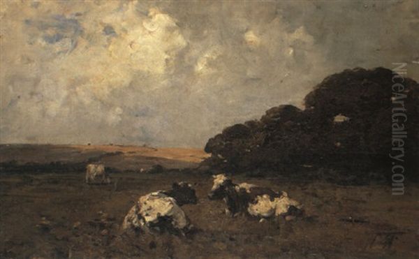 Cattle At Moldowney - view 1
