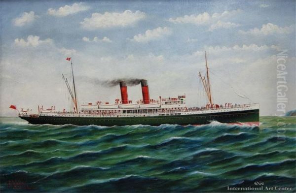 Tss Maori Off Sinclair Head, Wellington - view 1