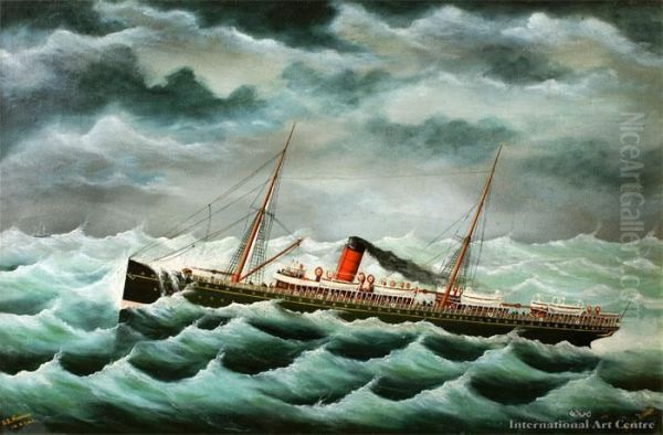 S.s Monowai In A Gale - view 1