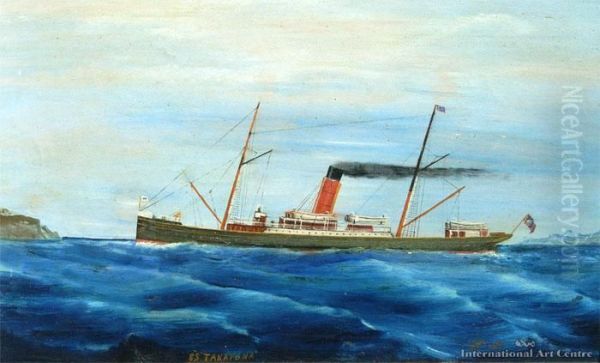 Ss Takapuna - view 1