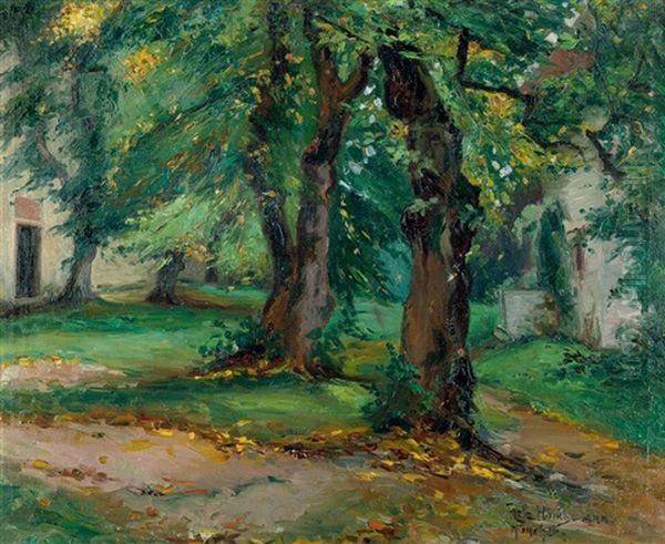 Herbstliche Baume Im Garten - view 1