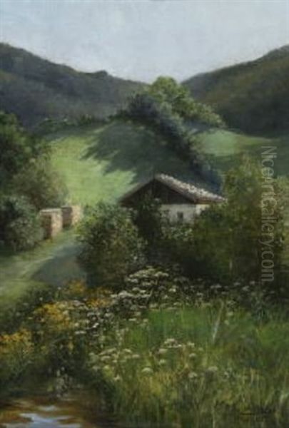 Sommerlandschaft Im Voralpenland - view 1