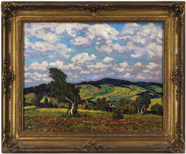 Letni Krajina - view 1