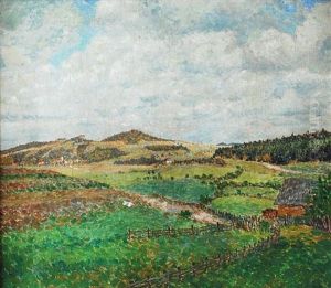 Krajina by Jan Honsa