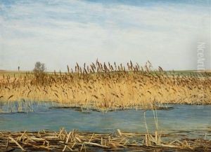 V Rakosi by Jan Honsa