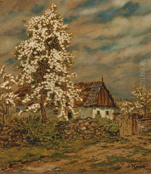 Bluhender Birnbaum - view 1