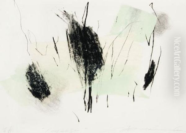 Paysage - view 1