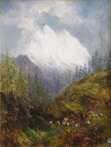 Alpine Landscape With Sheep