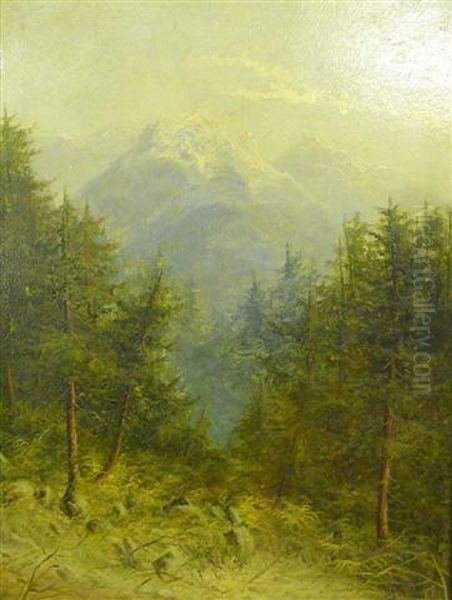 An Alpine Scene With Fir Trees And Mountain Tops - view 1