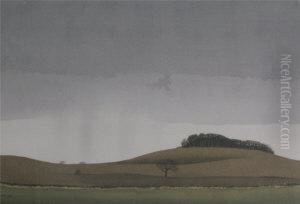 Highdown Hill Plantation - view 1