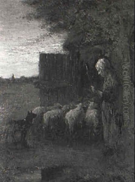 The Return Of The Flock - view 1
