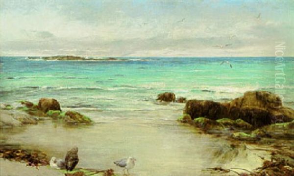 The Mirror Of The Sea-mew - view 1