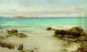 The Mirror Of The Sea-mew by James Clarke Hook