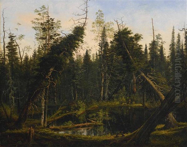 Pond In The Woods - view 1