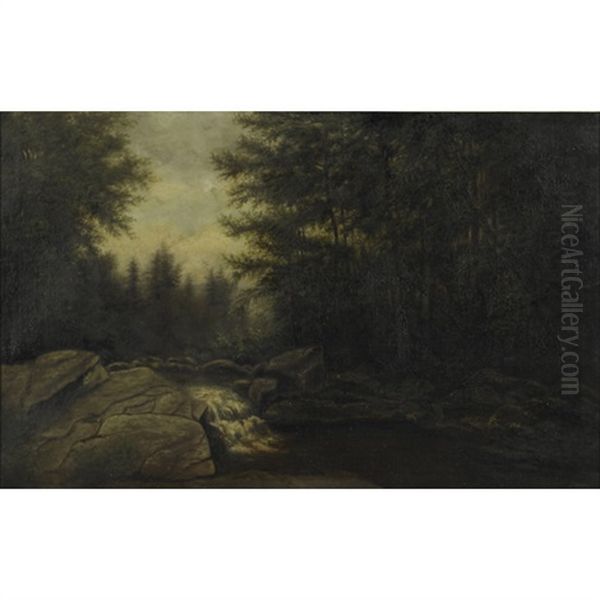 Rocky Stream In A Forest - view 1