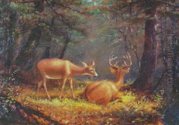 Deer In A Landscape - view 1