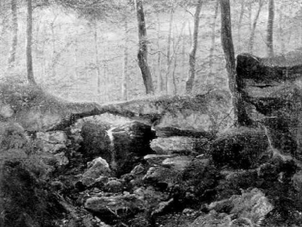 A Mossy Forest Brook - view 1