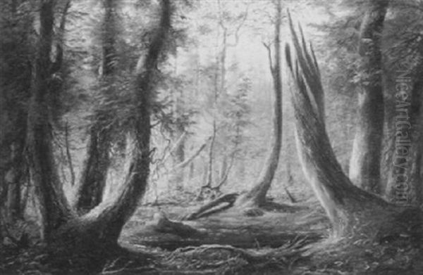 The Vernal Pool - view 1