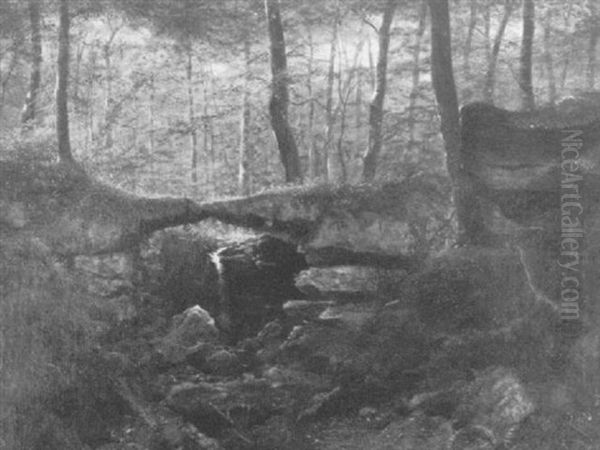 Mossy Forest - view 1