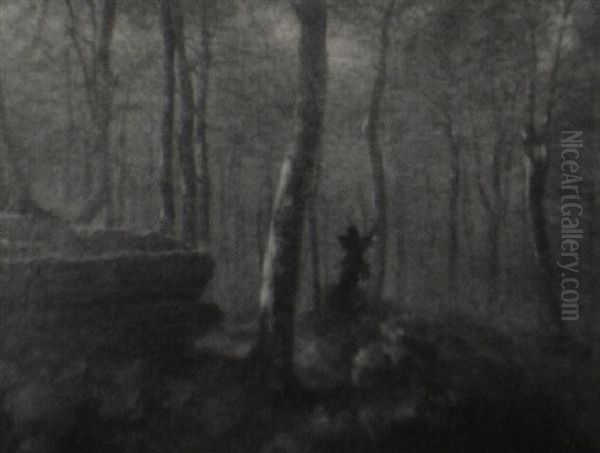A Forest Scene - view 1