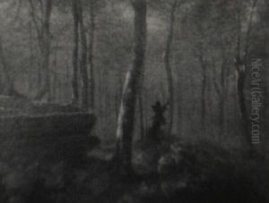 A Forest Scene A Forest Scene