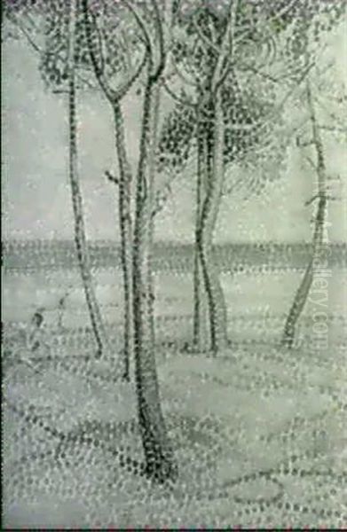 Trees And Sea - view 1