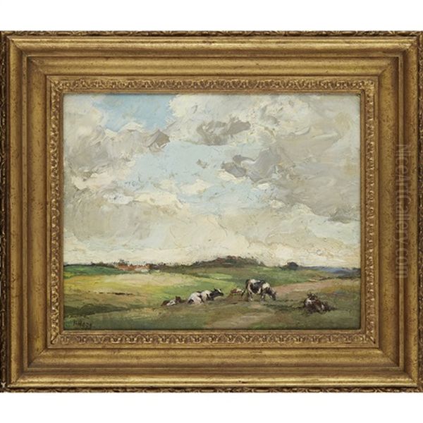 Cattle In The Sunshine - view 1