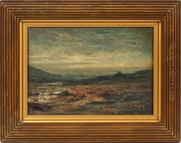 Coast Of Scotland - view 1