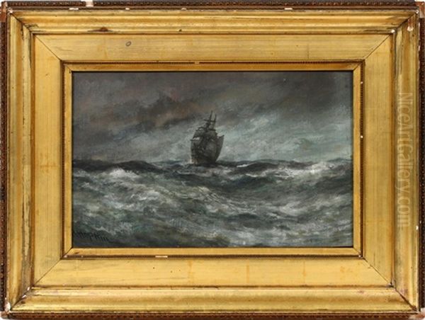 Storm At Sea - view 1