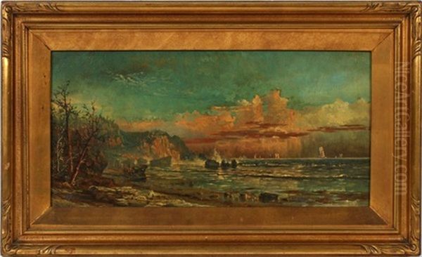 Shoreline Landscape - view 1