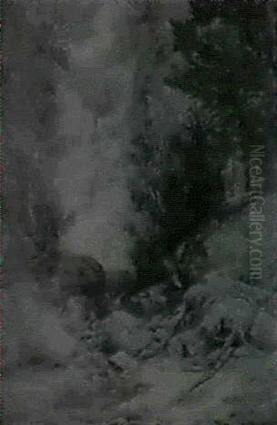 Forest Landscape With A Waterfall, Glen Ellis, New Hampshire - view 1