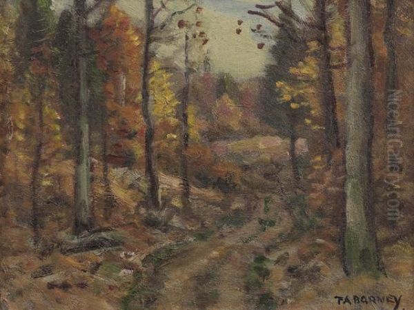 Path In An Autumn Landscape - view 1