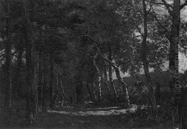 Boschweg Bij Ubbergen, Holland - view 1