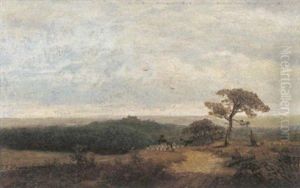 Landschap Met Herder