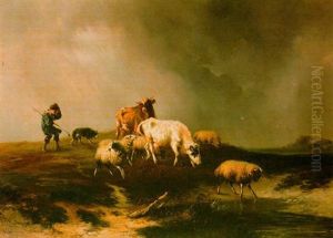 Herding Sheep
