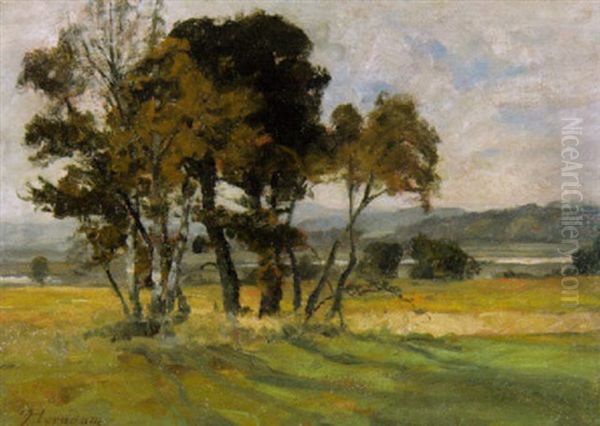 Weite Landschaft Im Thuringischen - view 1