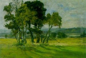 Birkengruppe Nahe Einem Voralpensee by Franz Horadam