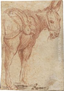 Red Chalk by Federico Fiori Barocci