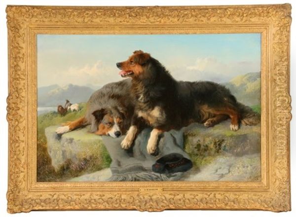 Highland Collies - view 1