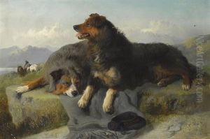Collies by George William Horlor