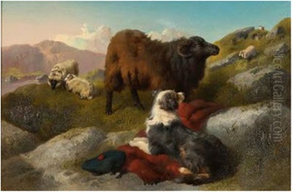'watching The Flock'; A Sheepdog In The Highlands - view 1