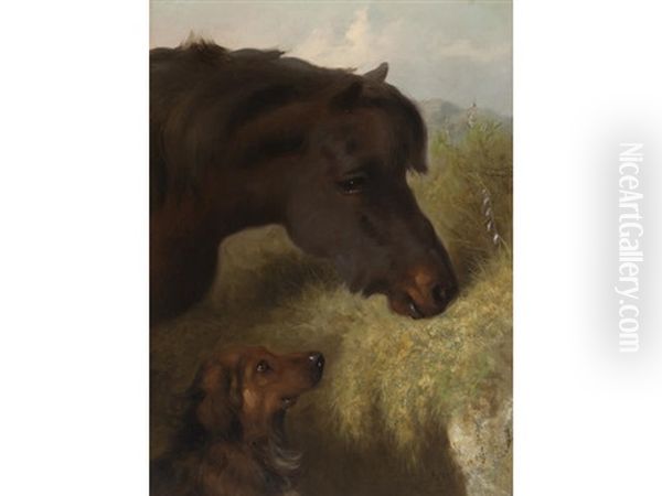 The Best Of Friends - A Pony And Dog - view 1