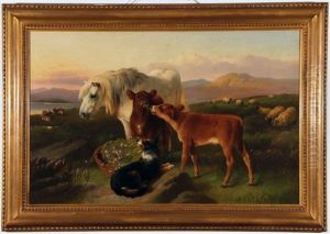 Highland Scene With White Pony, Calves And Collie Dog