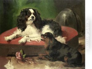 King Charles Matters
