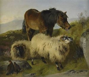 Landskap Med Far, Hast Och Faglar