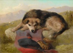 Waiting For The Shepherd