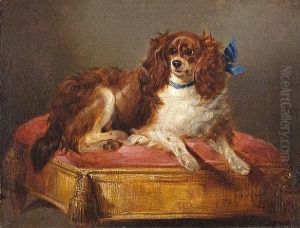Spaniel On A Footstool