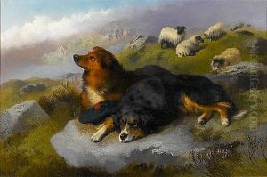 Faithful Watchers