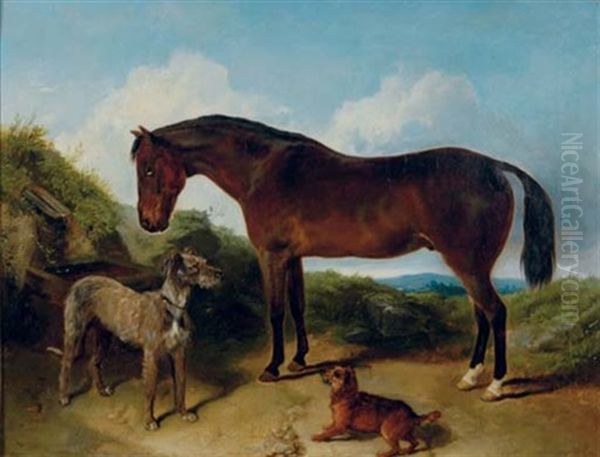By The Trough - view 1
